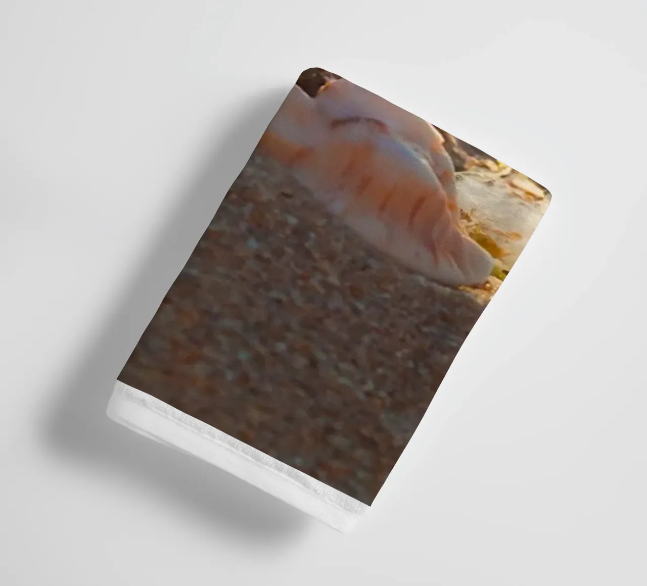 Feather with its shell towel by MiniClic