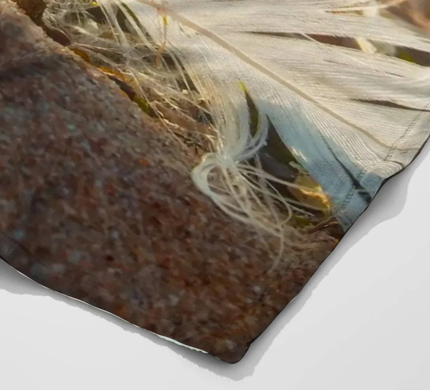 Feather with its shell fleece blanket by MiniClic