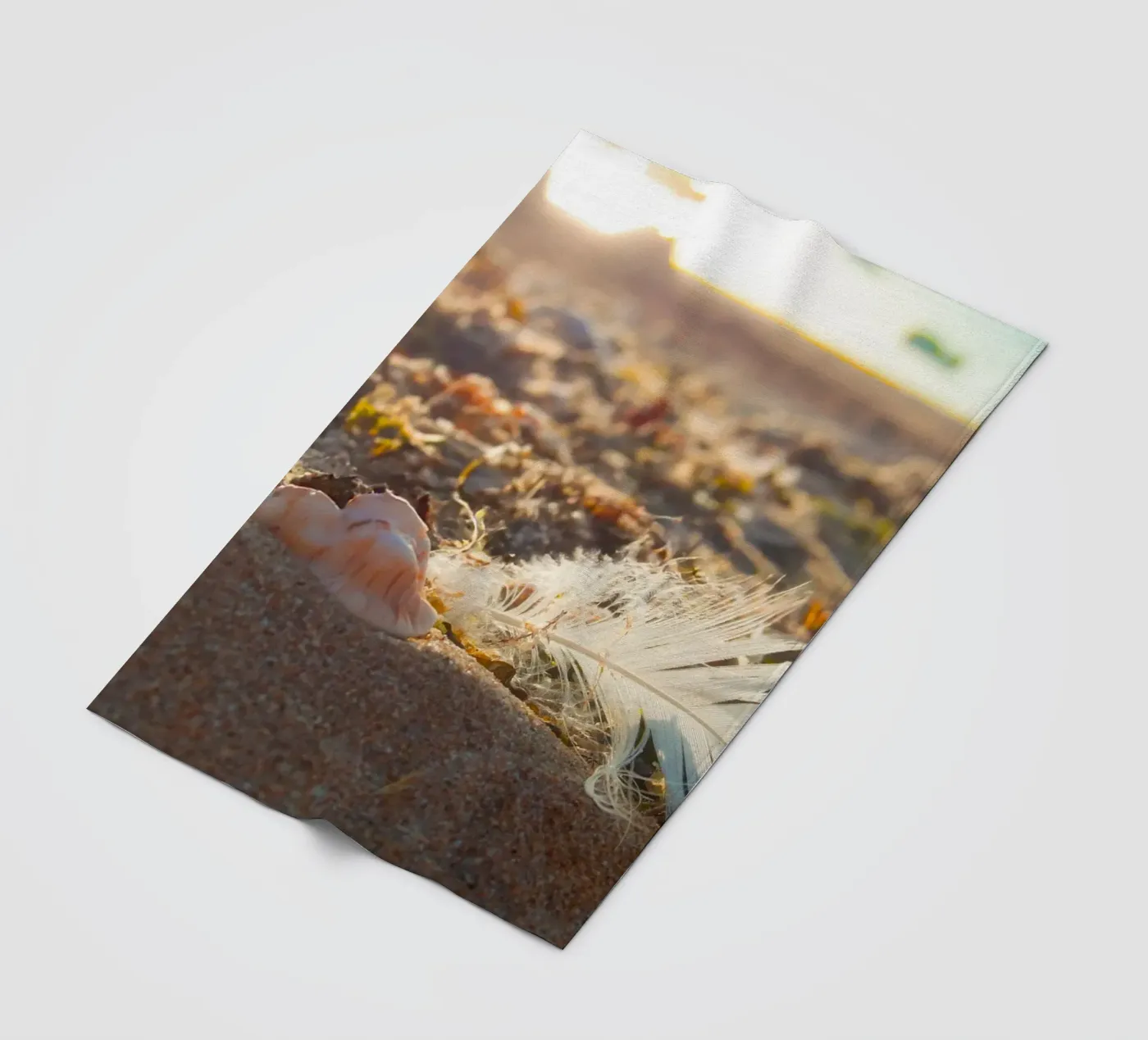 Feather with its shell fleece blanket by MiniClic