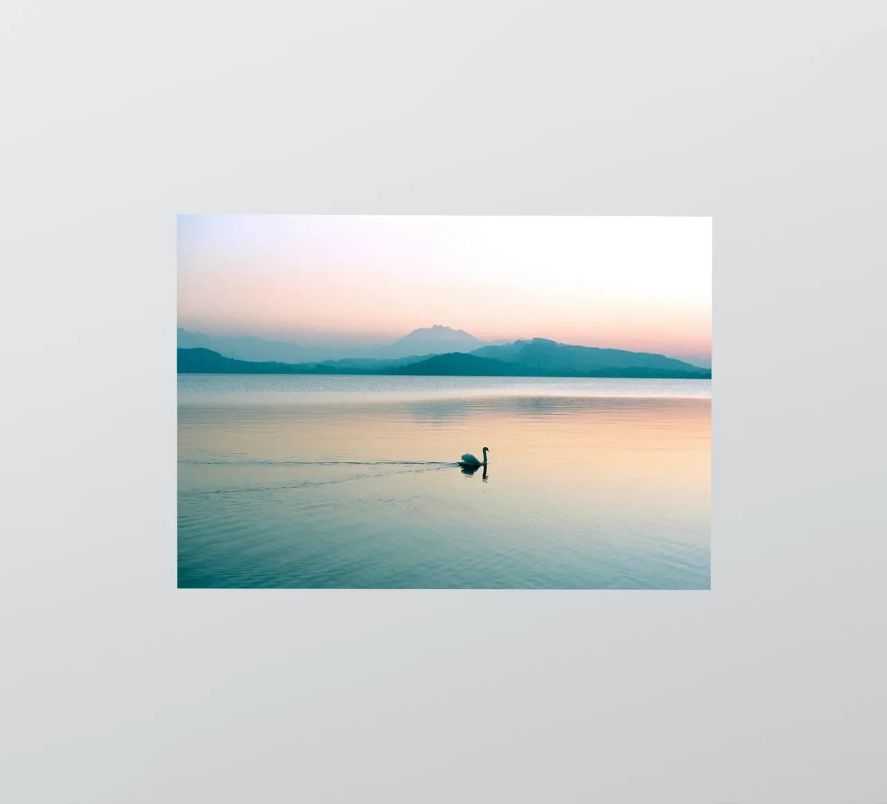 lago de los cisnes pegatina de Earthly Visions