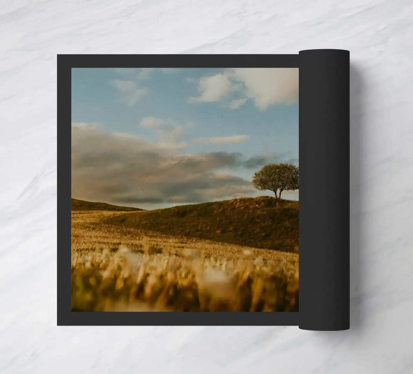 albero erba zerbino da Earthly Visions