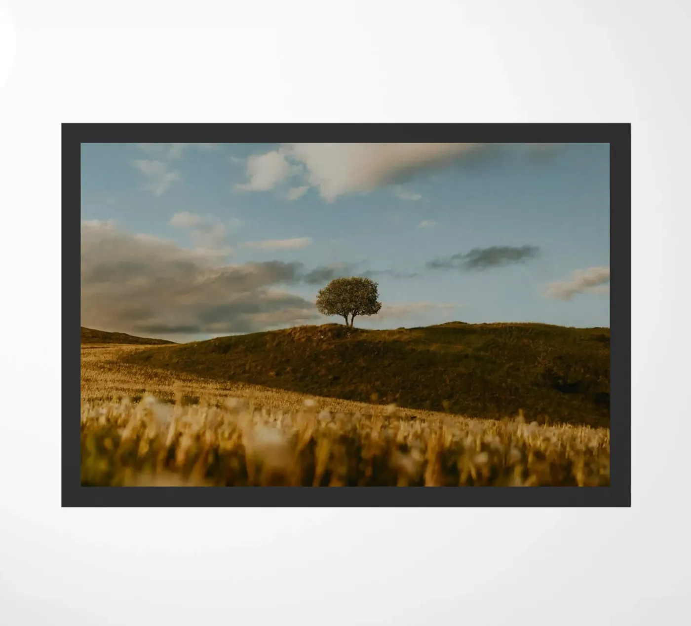 albero erba zerbino da Earthly Visions