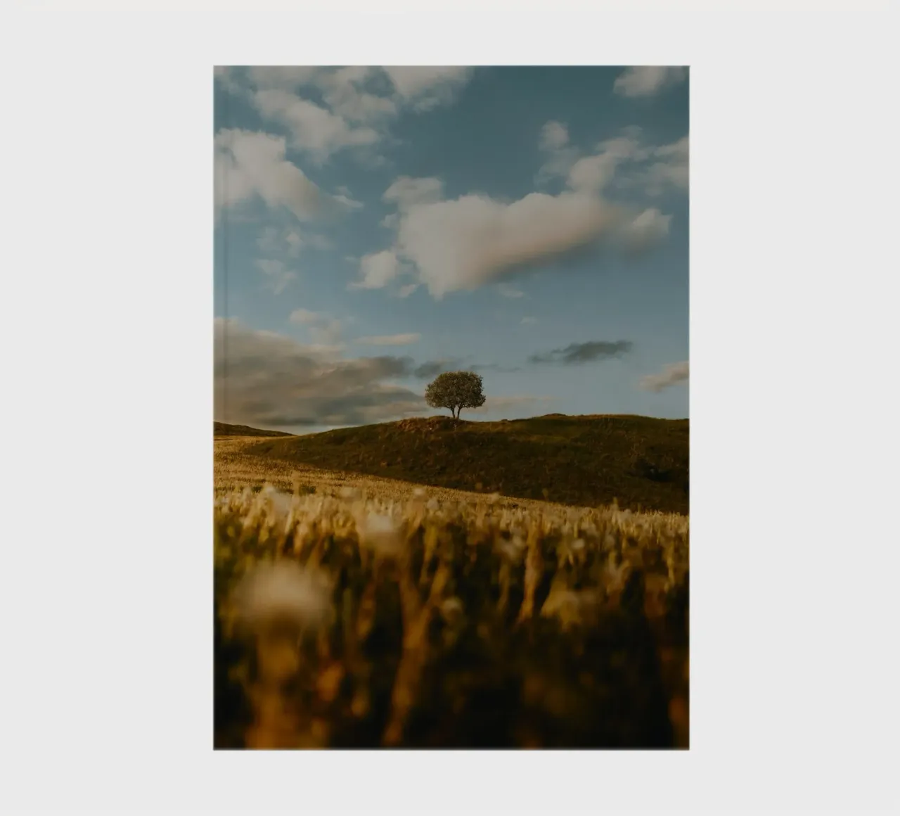 tree grass notebook by Earthly Visions