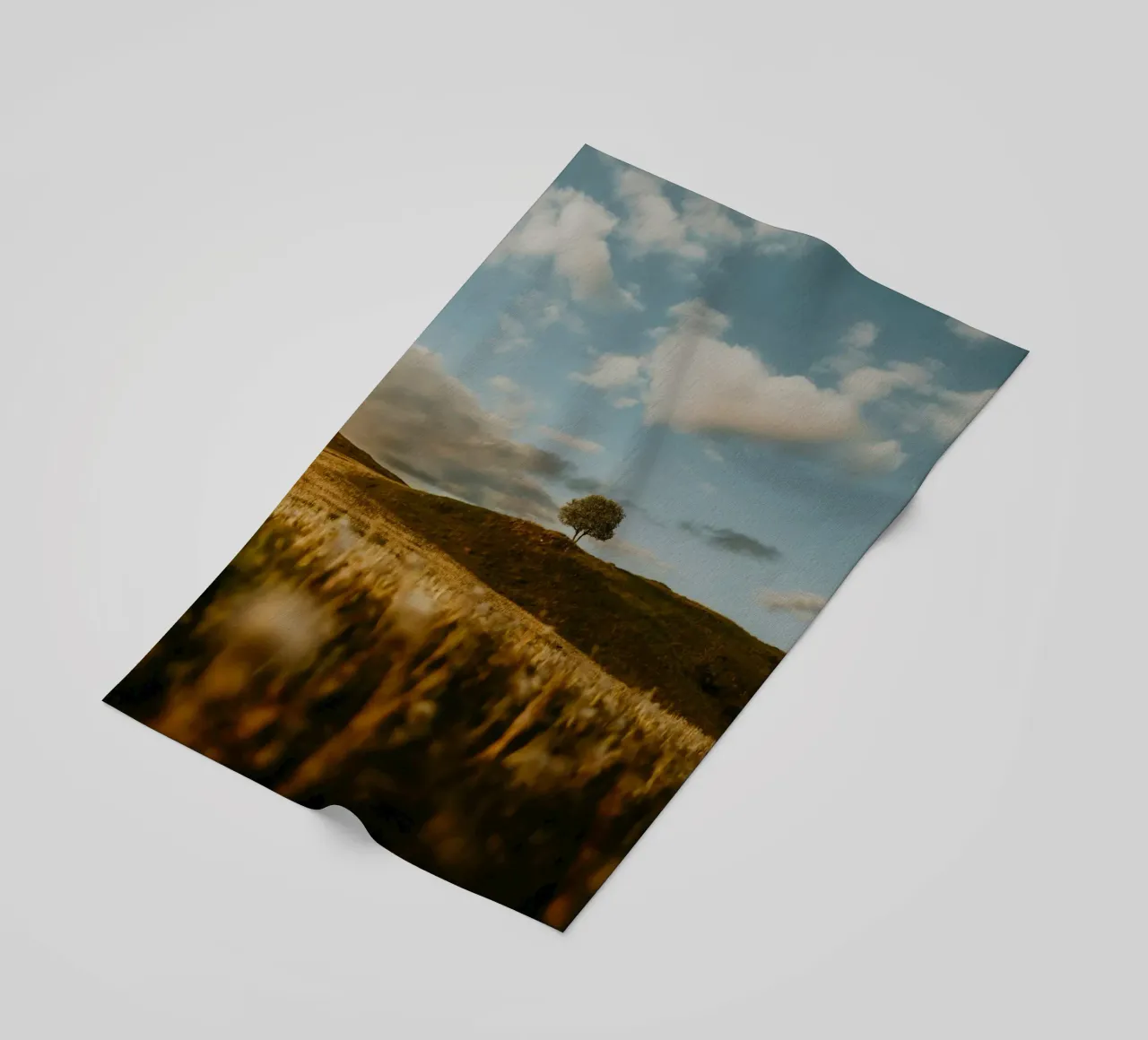 albero erba telo mare da Earthly Visions