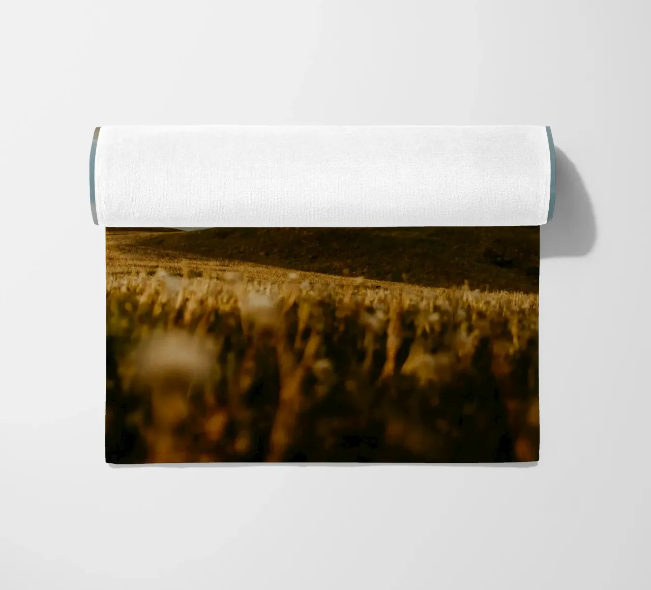 albero erba telo mare da Earthly Visions