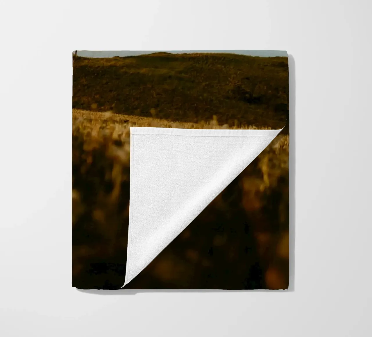 albero erba telo mare da Earthly Visions