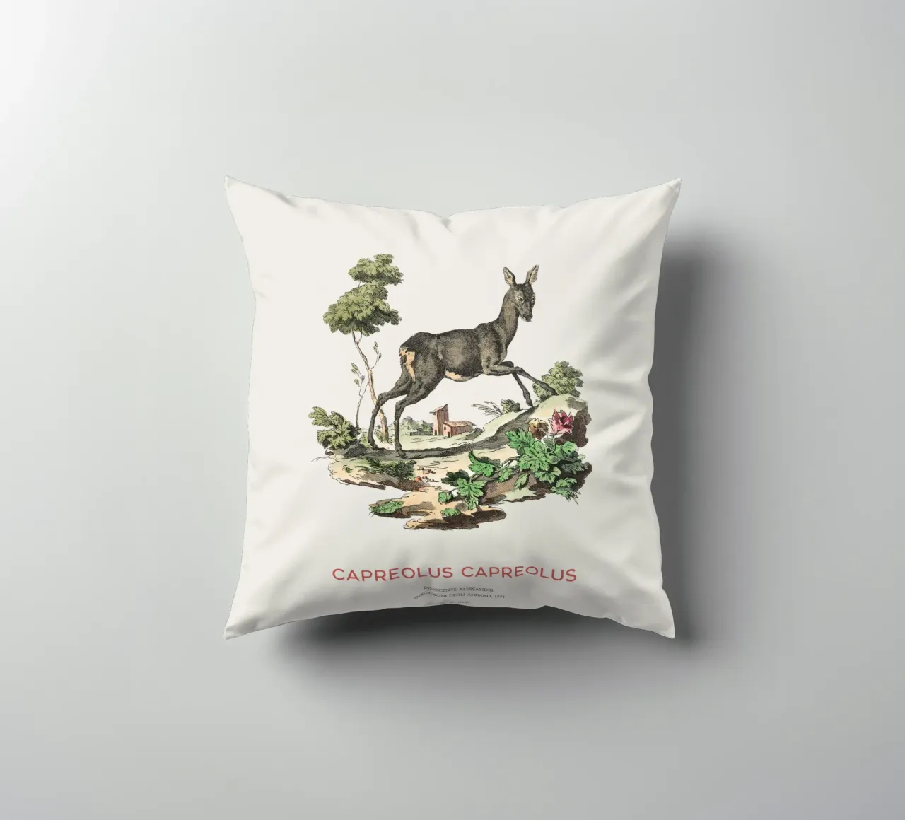 Capriolo cuscino da Vintagrafica