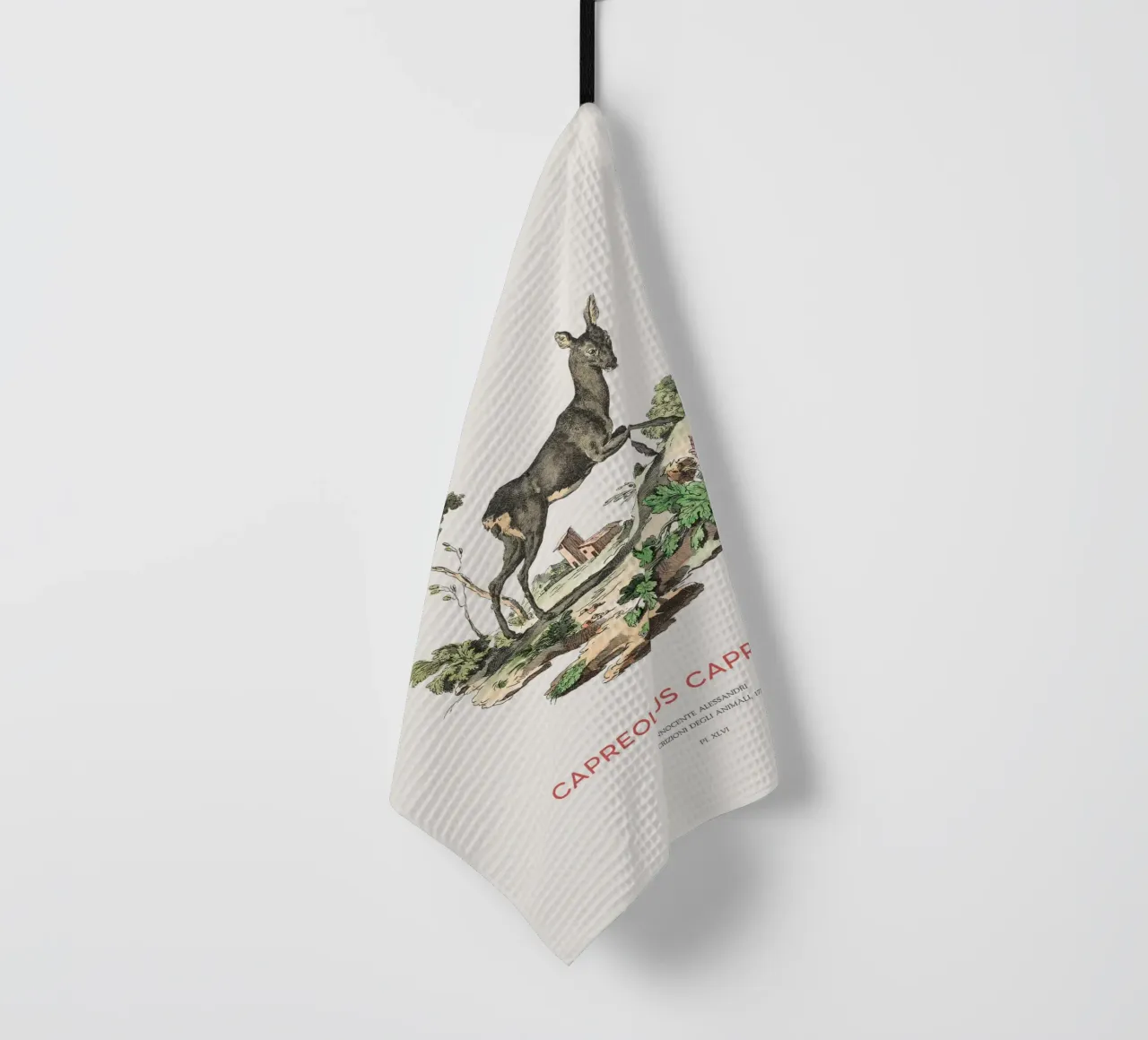 Capriolo canovaccio da cucina da Vintagrafica