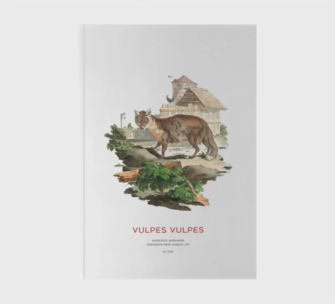 The red fox notebook by Vintagrafica