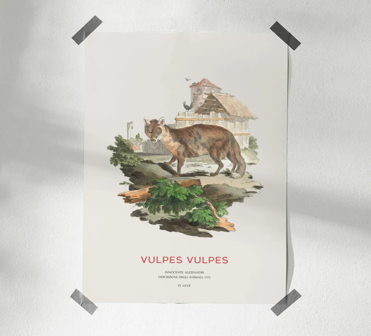 Der Rotfuchs Hahnemühle von Vintagrafica
