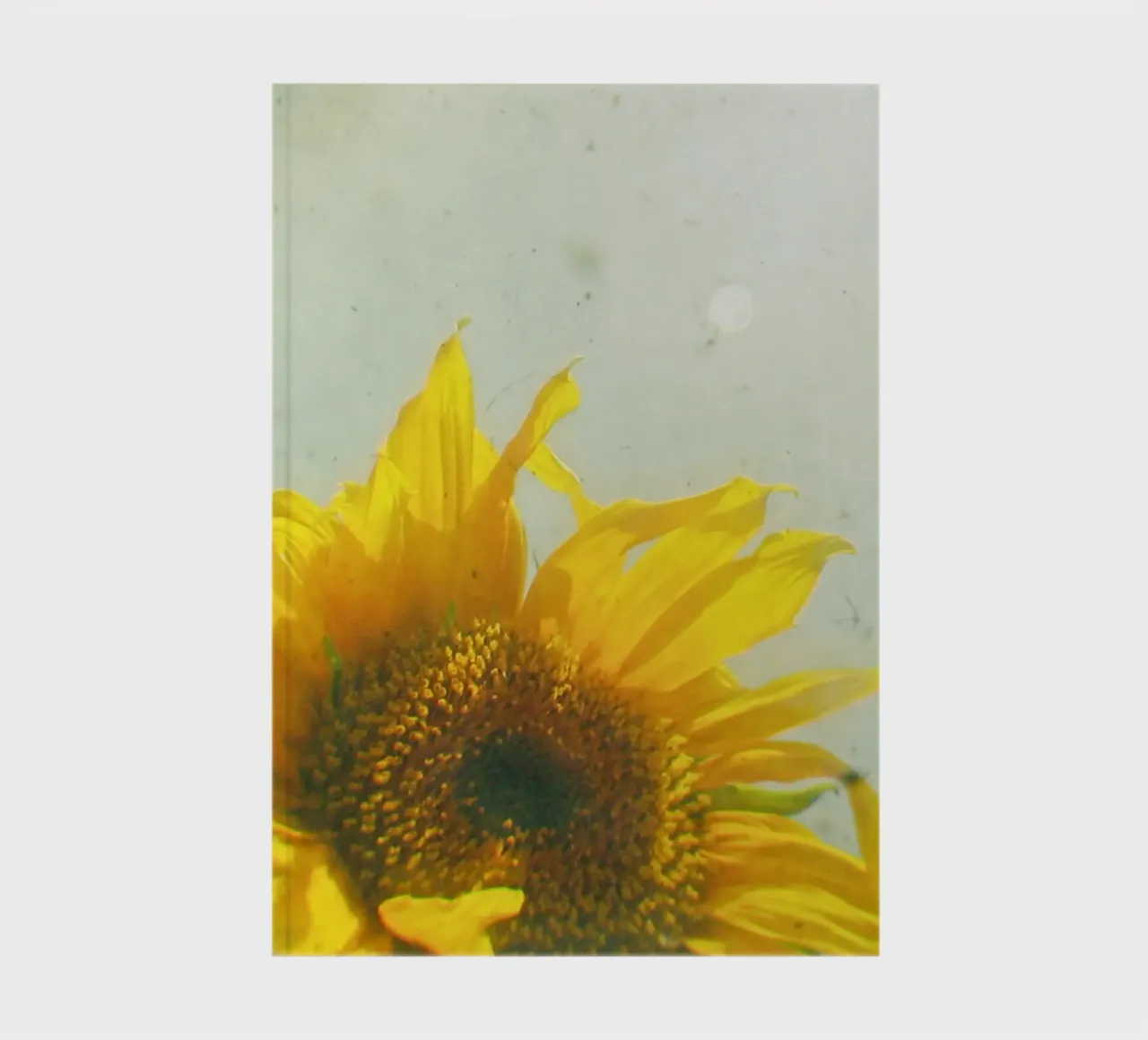 Sunburst Notizbuch von Cassia Beck Photography