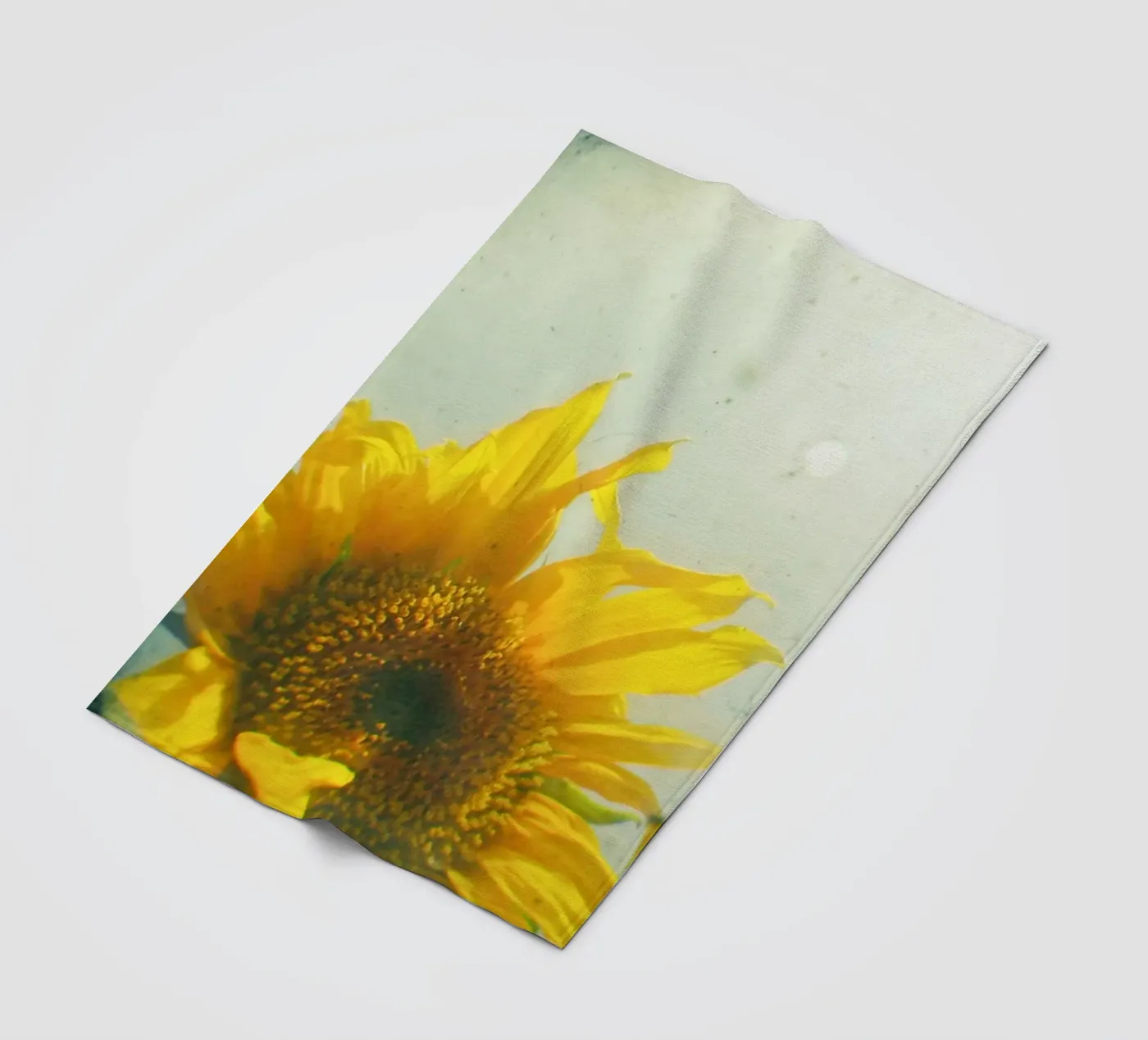 Sunburst Fleecedecke von Cassia Beck Photography