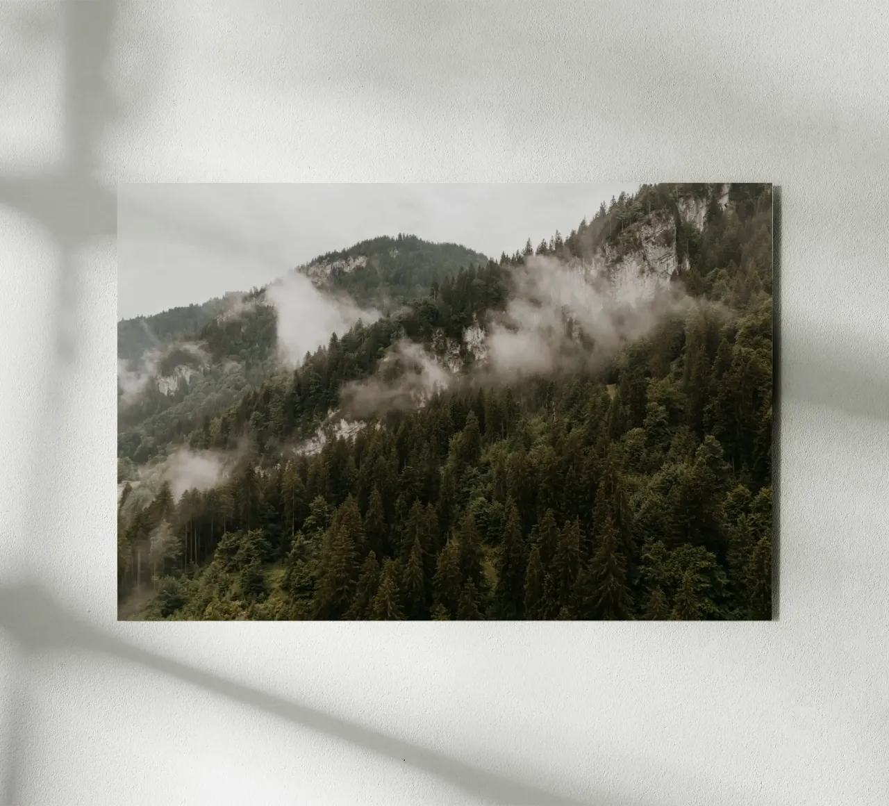 Whispers in the Forest alluminio dibond da Lena Stamm