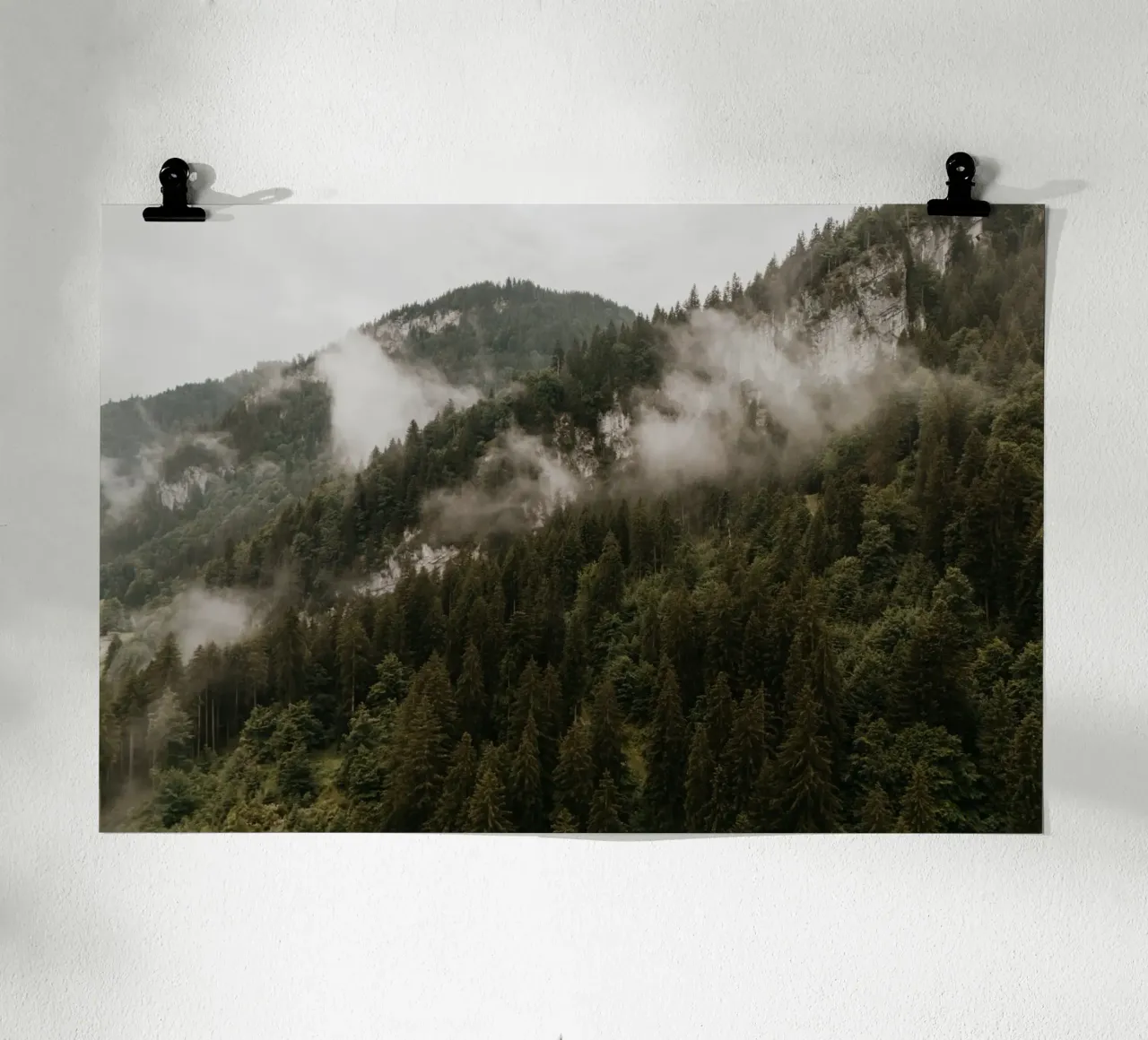 Whispers in the Forest carta hahnemühle da Lena Stamm