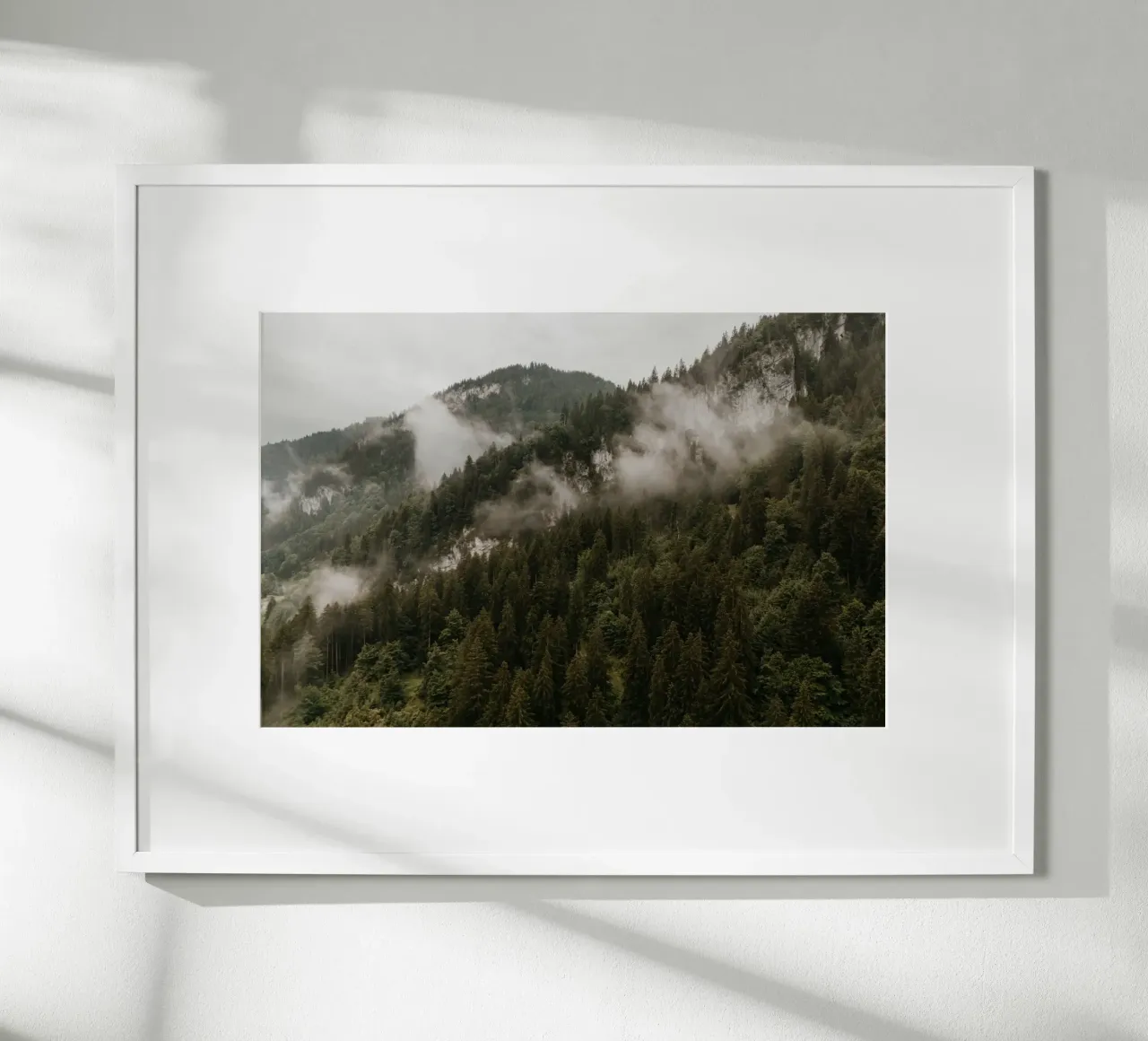 Whispers in the Forest carta hahnemühle da Lena Stamm