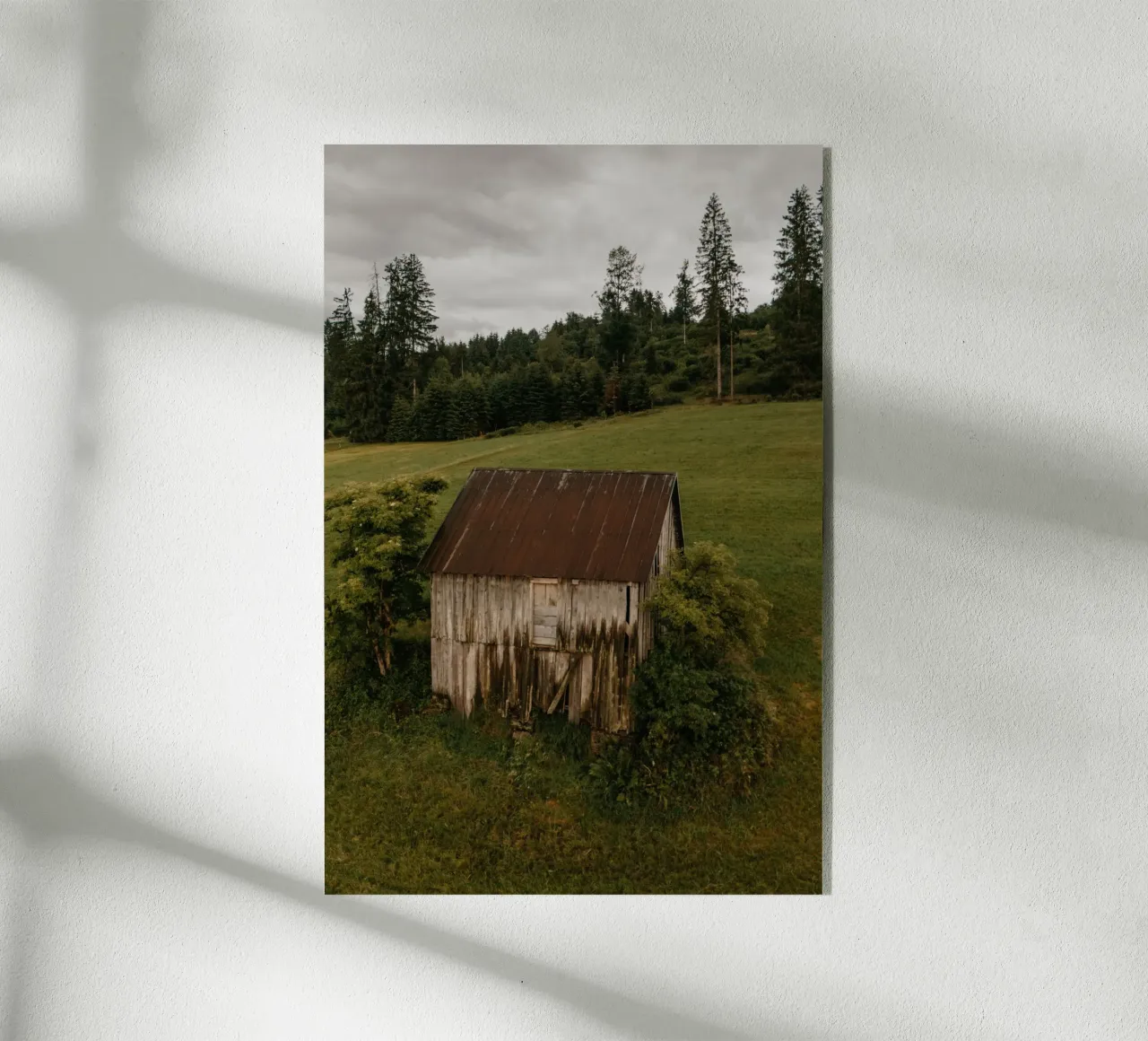 Rustic Shelter plexiglass da Lena Stamm