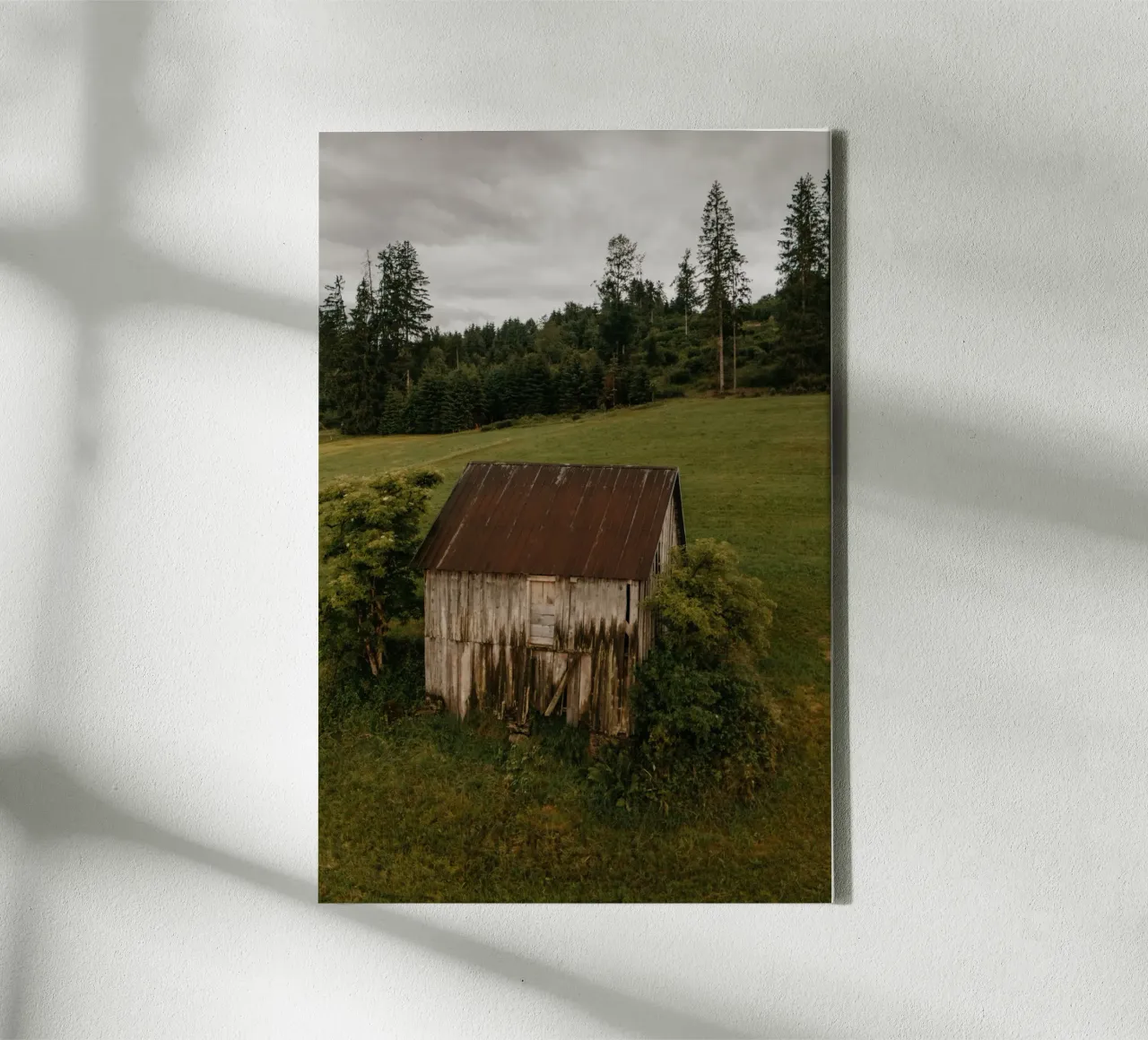 Rustic Shelter tela con Cornice a cassetta da Lena Stamm