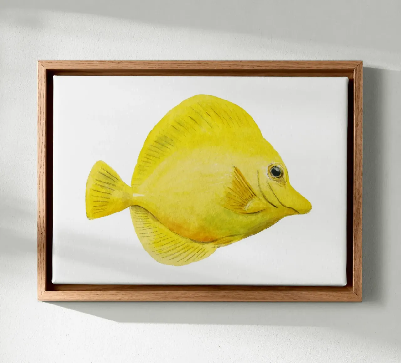 Geelzeilvinchirurgvis canvas met Baklijst van Barbara Buderath Illustrationen