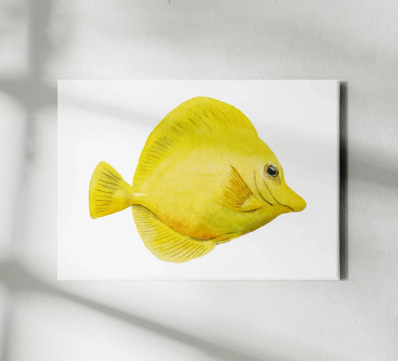 Geelzeilvinchirurgvis canvas met Baklijst van Barbara Buderath Illustrationen