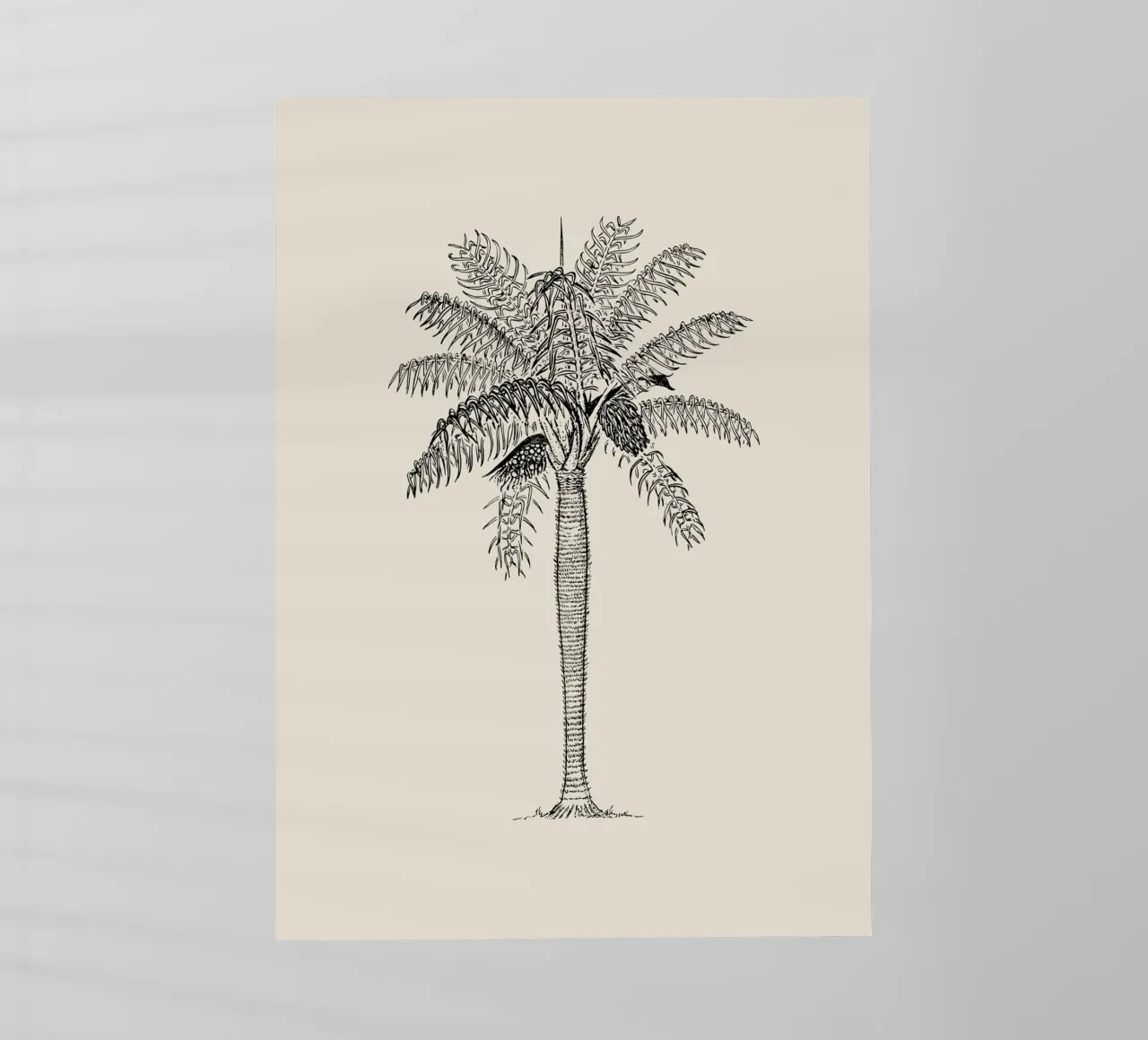 Vintage Palm Tree Sketch Print - Arte Botánico Tropical lámina retroiluminada de ClubArt
