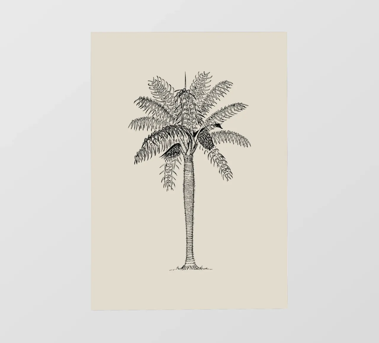 Esquisse de palmier vintage - Botanical Tropical Art papier peint photo de ClubArt
