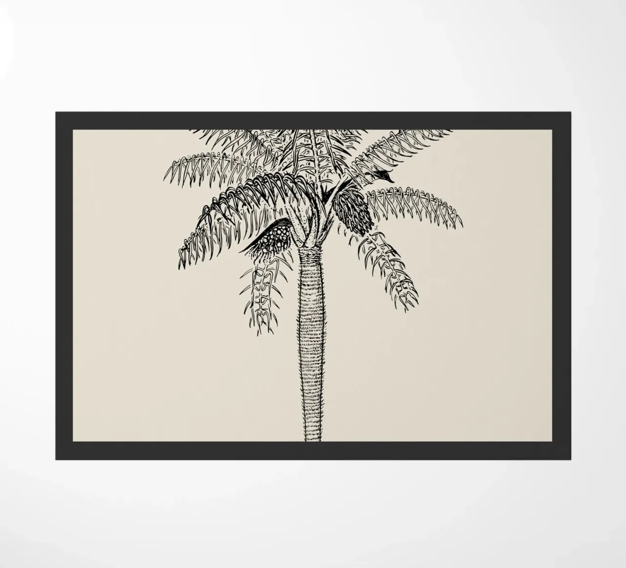 Vintage Palm Tree Sketch Print - Botanical Tropical Art doormat by ClubArt