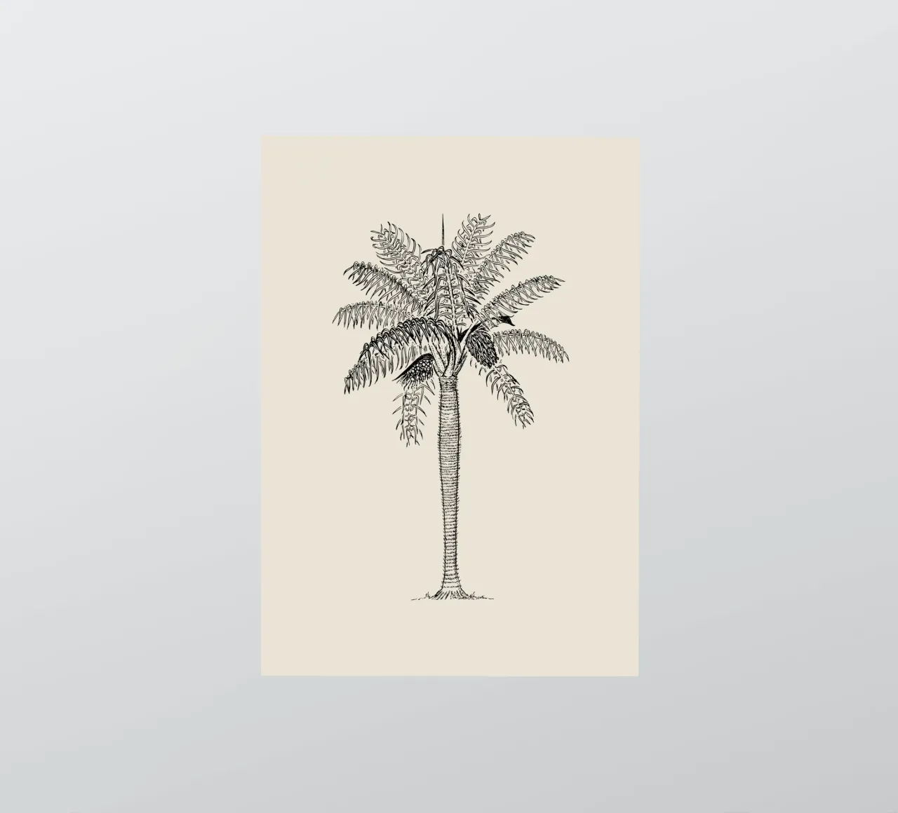 Vintage Palm Tree Sketch Print - Botanical Tropical Art sticker by ClubArt