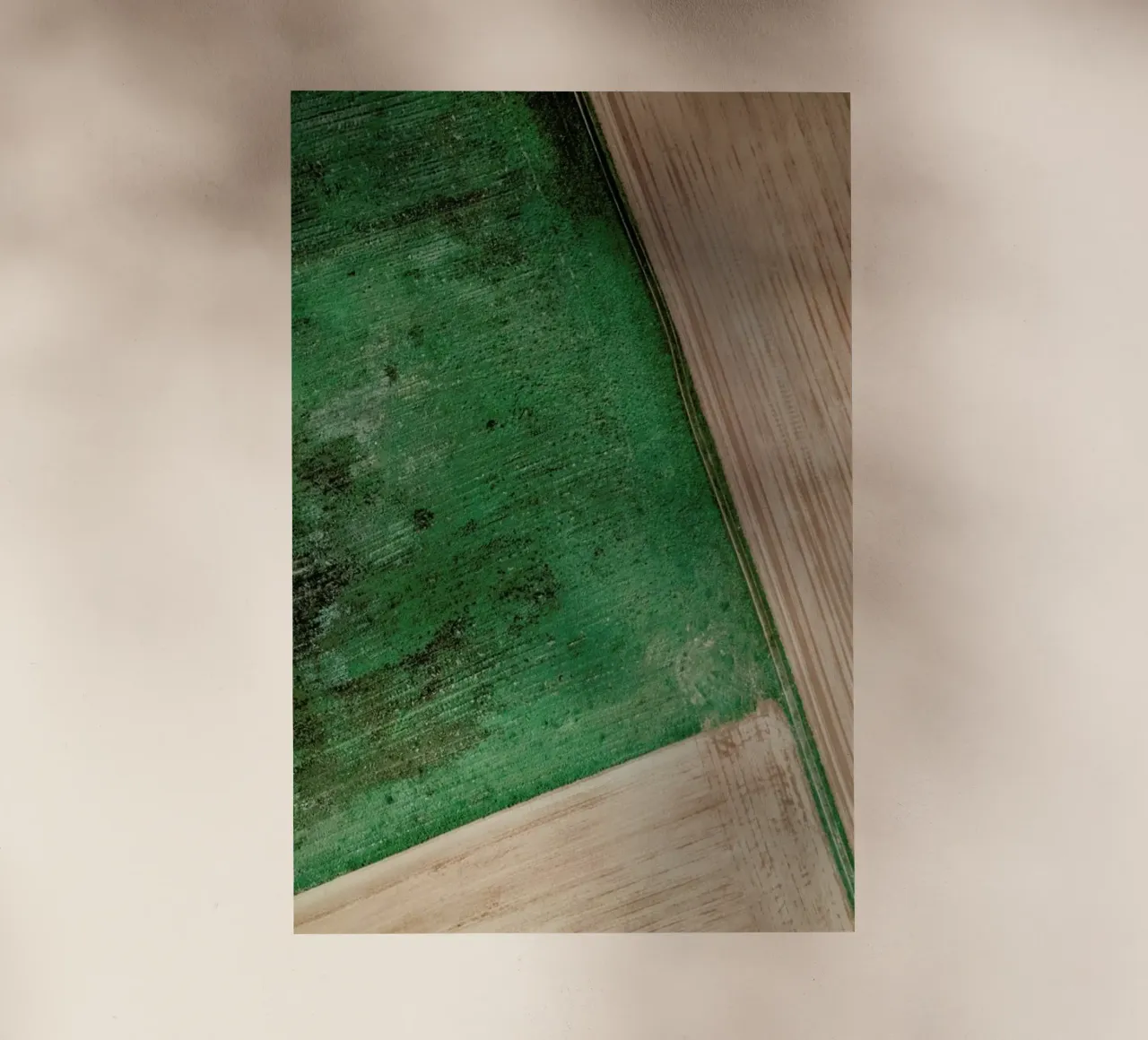 Natural Pattern pellicola backlit da Sebastian Hilgetag