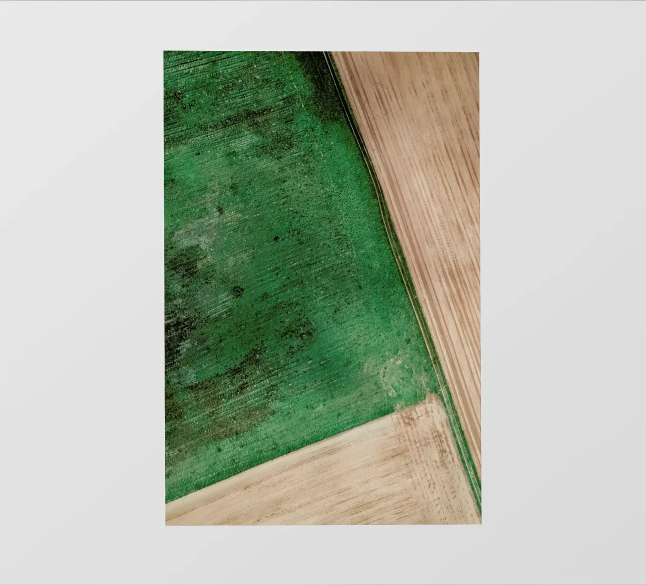 Natural Pattern pellicola backlit da Sebastian Hilgetag