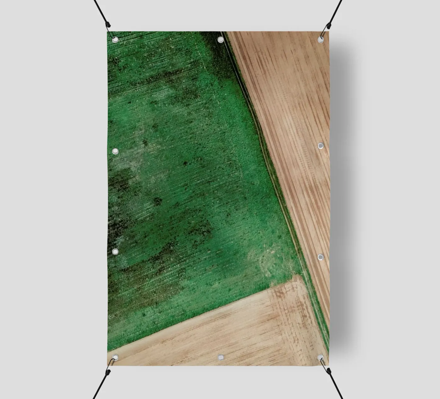 Natural Pattern PVC Plane von Sebastian Hilgetag