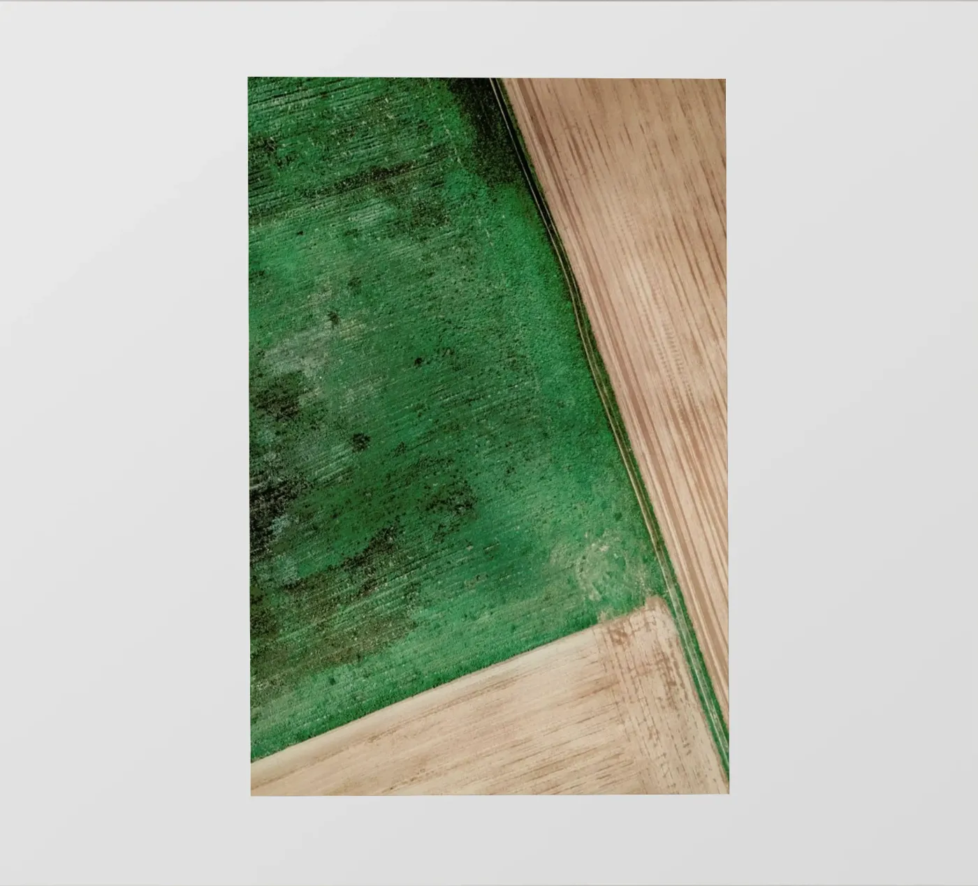 Natural Pattern PVC Plane von Sebastian Hilgetag
