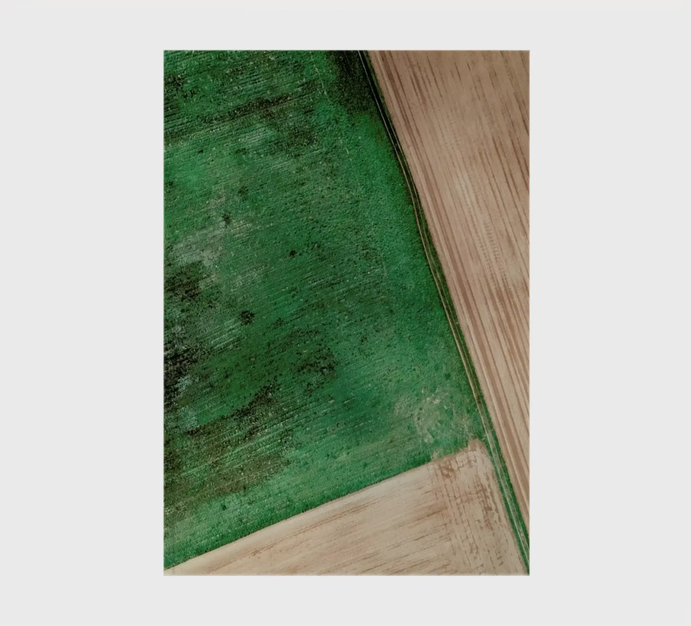 Natural Pattern notebook by Sebastian Hilgetag