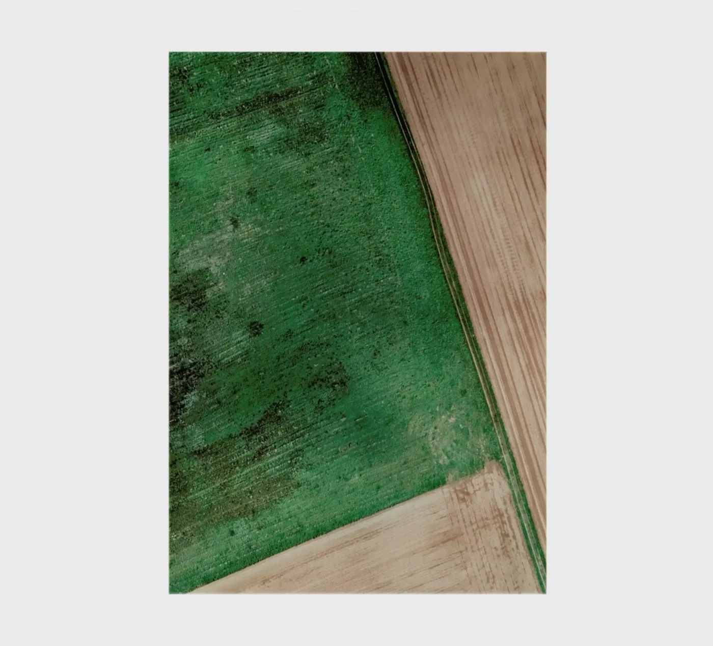 Natural Pattern notebook by Sebastian Hilgetag