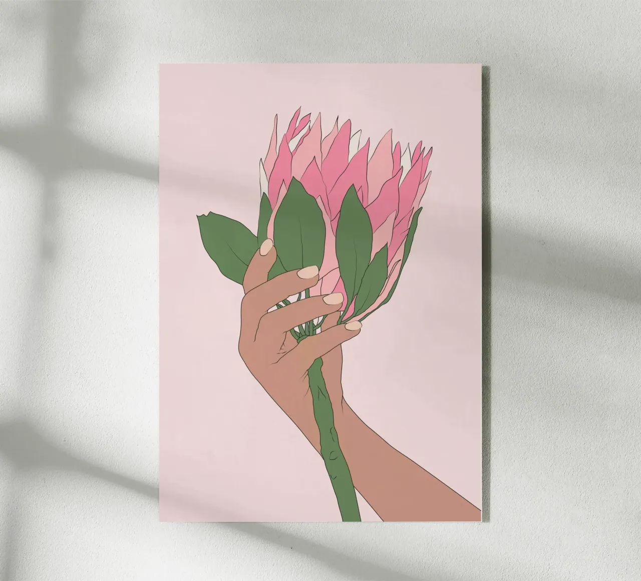 Fragrant Protea Flower plexiglass da Nadjaa