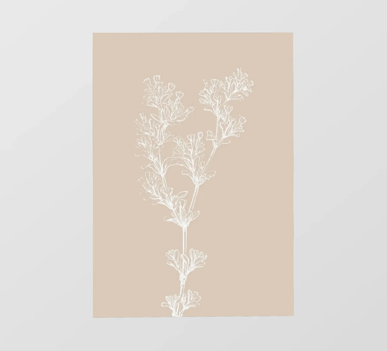 Delicate linee d'arte botaniche - Stampa floreale neutra telo in pvc da ClubArt