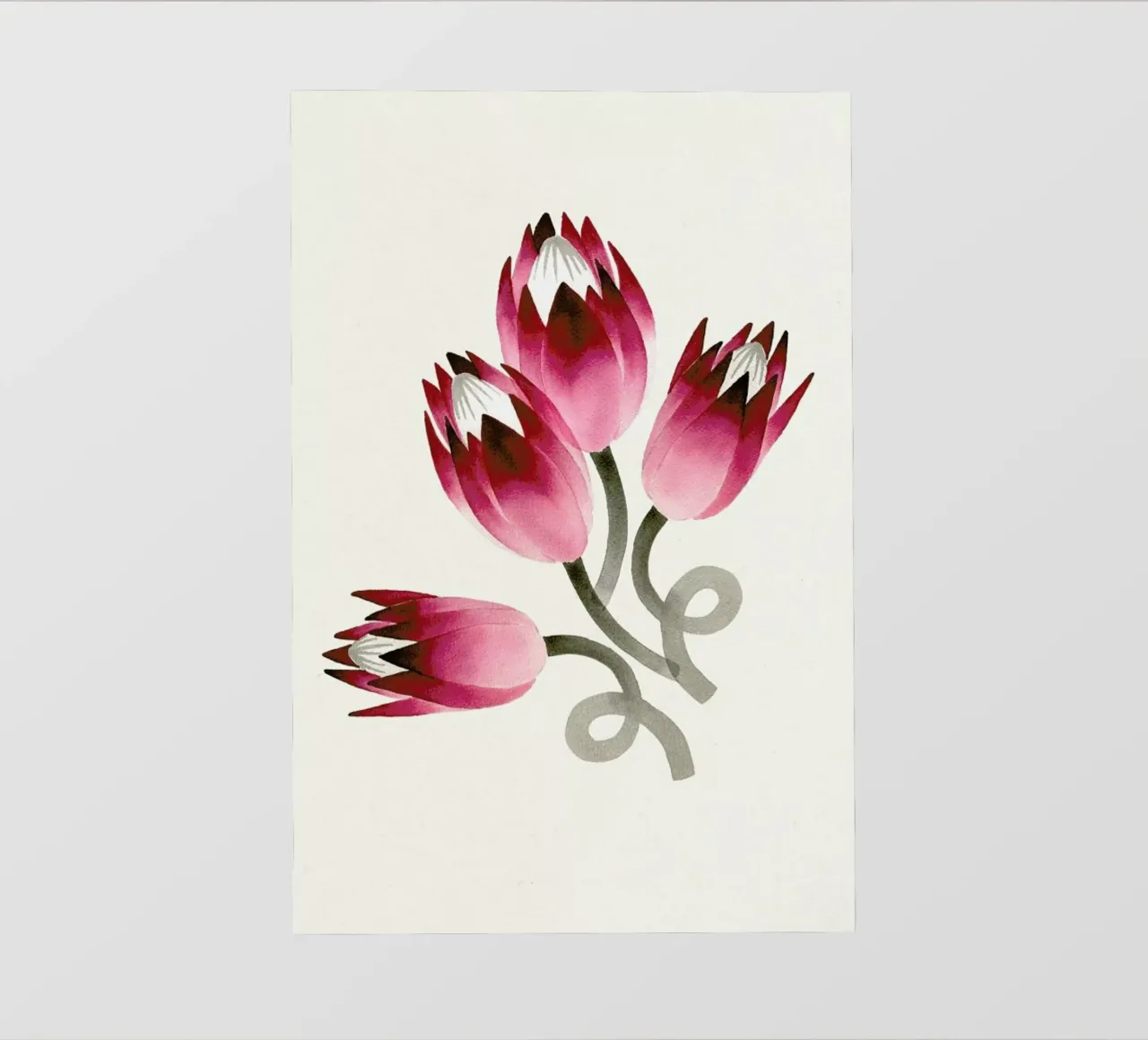 Tulip backlit film by Ekaterina Koroleva
