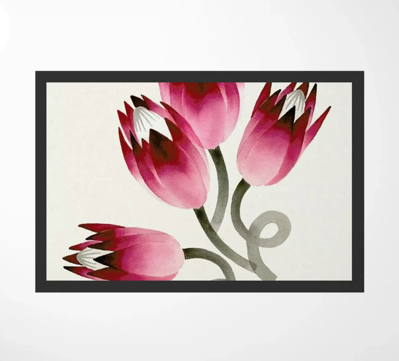 Tulip zerbino da Ekaterina Koroleva
