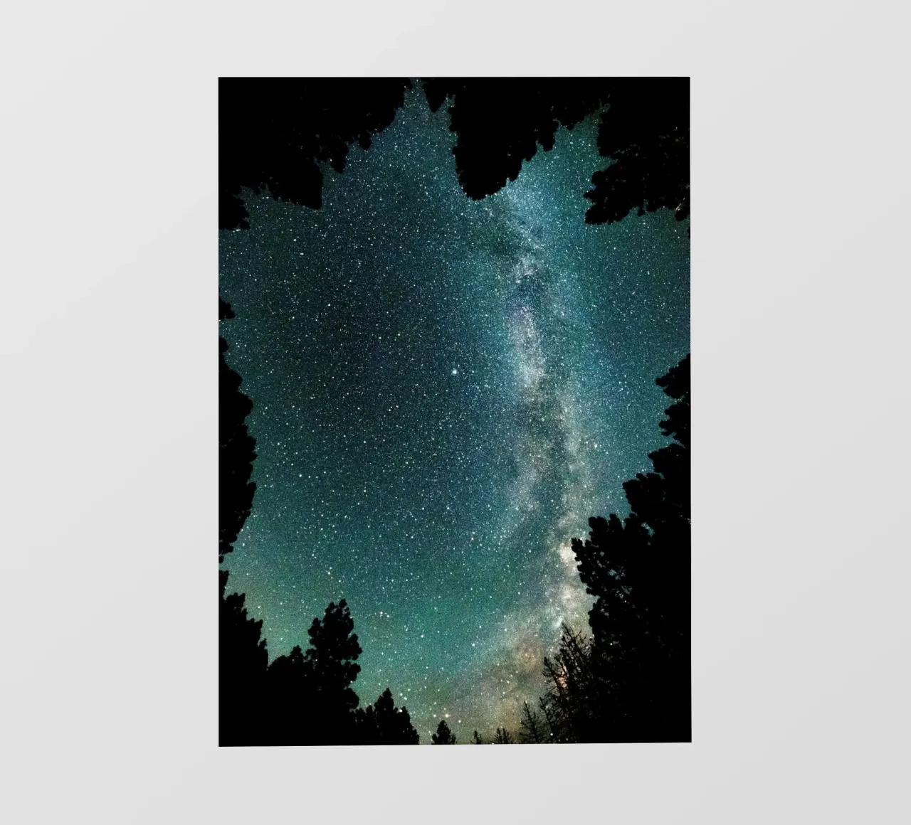 stars night sky trees milky way pvc cover by space words