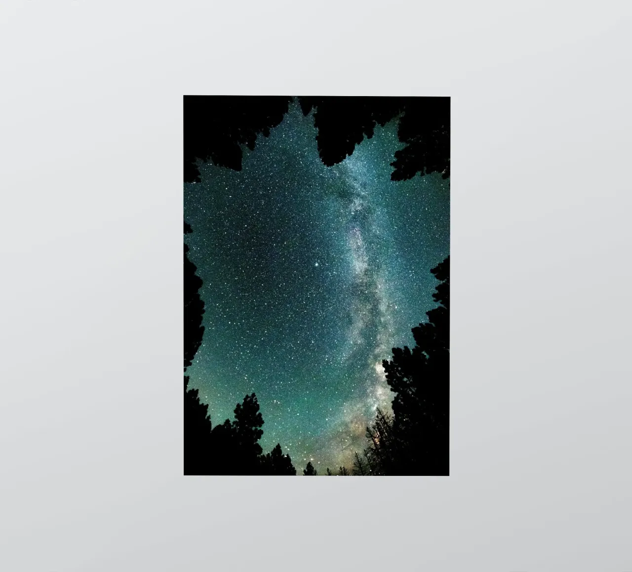 stars night sky trees milky way sticker by space words