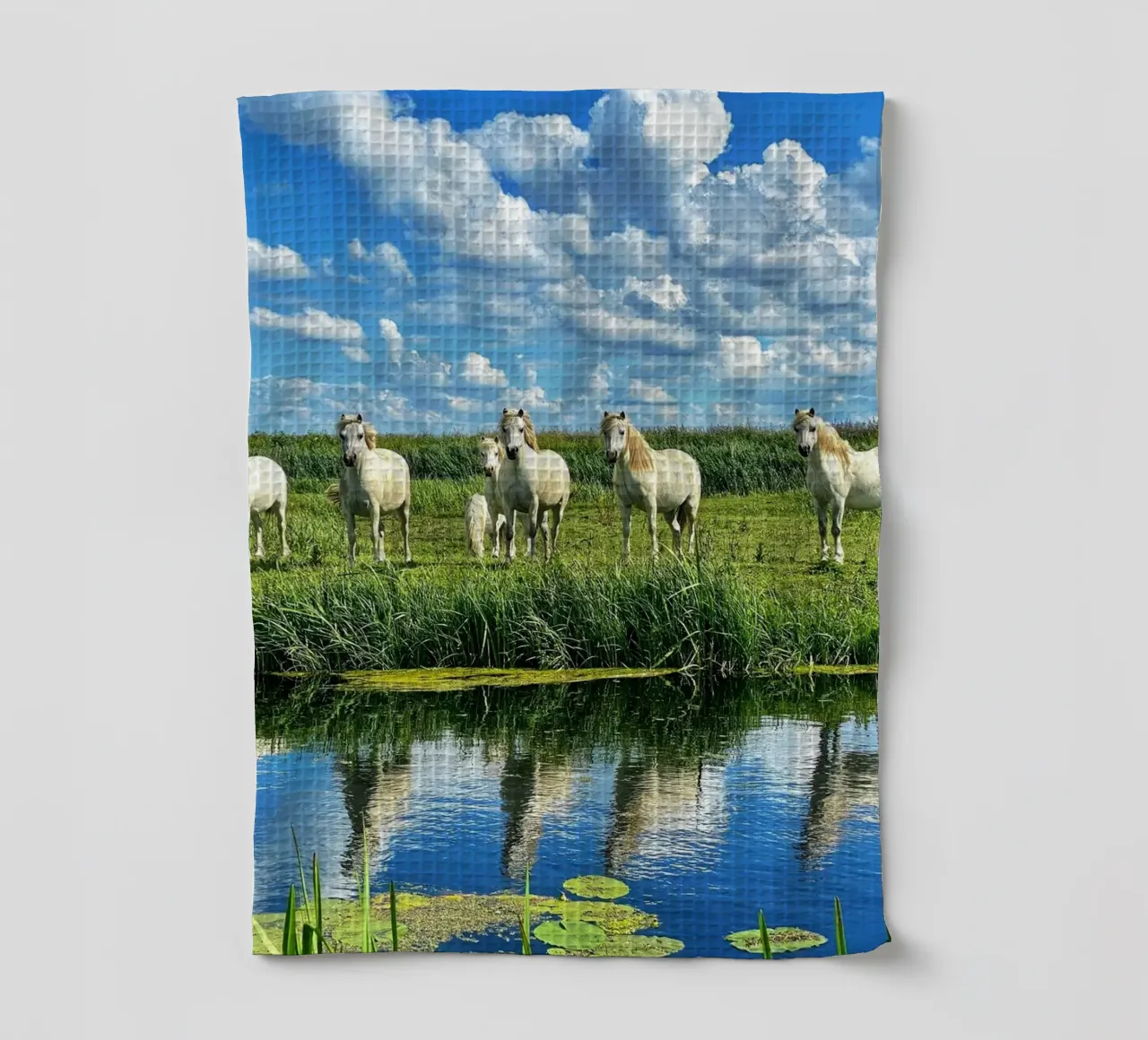 troupeau de chevaux faune et flore torchon de Horsire