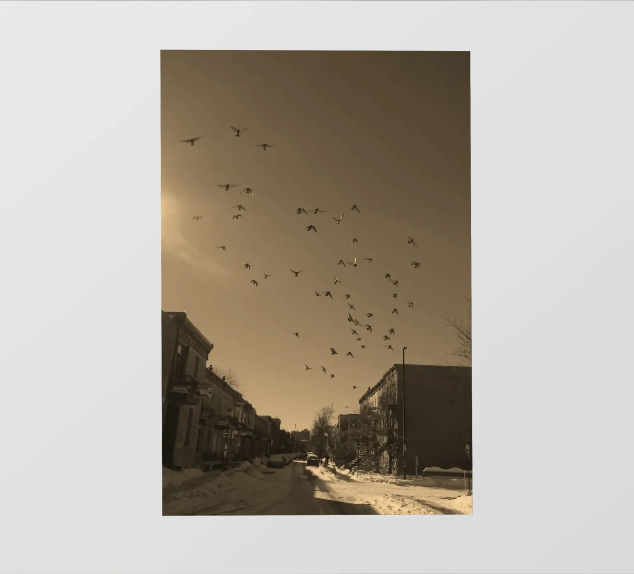paesaggio urbano strada neve pellicola backlit da animal story home