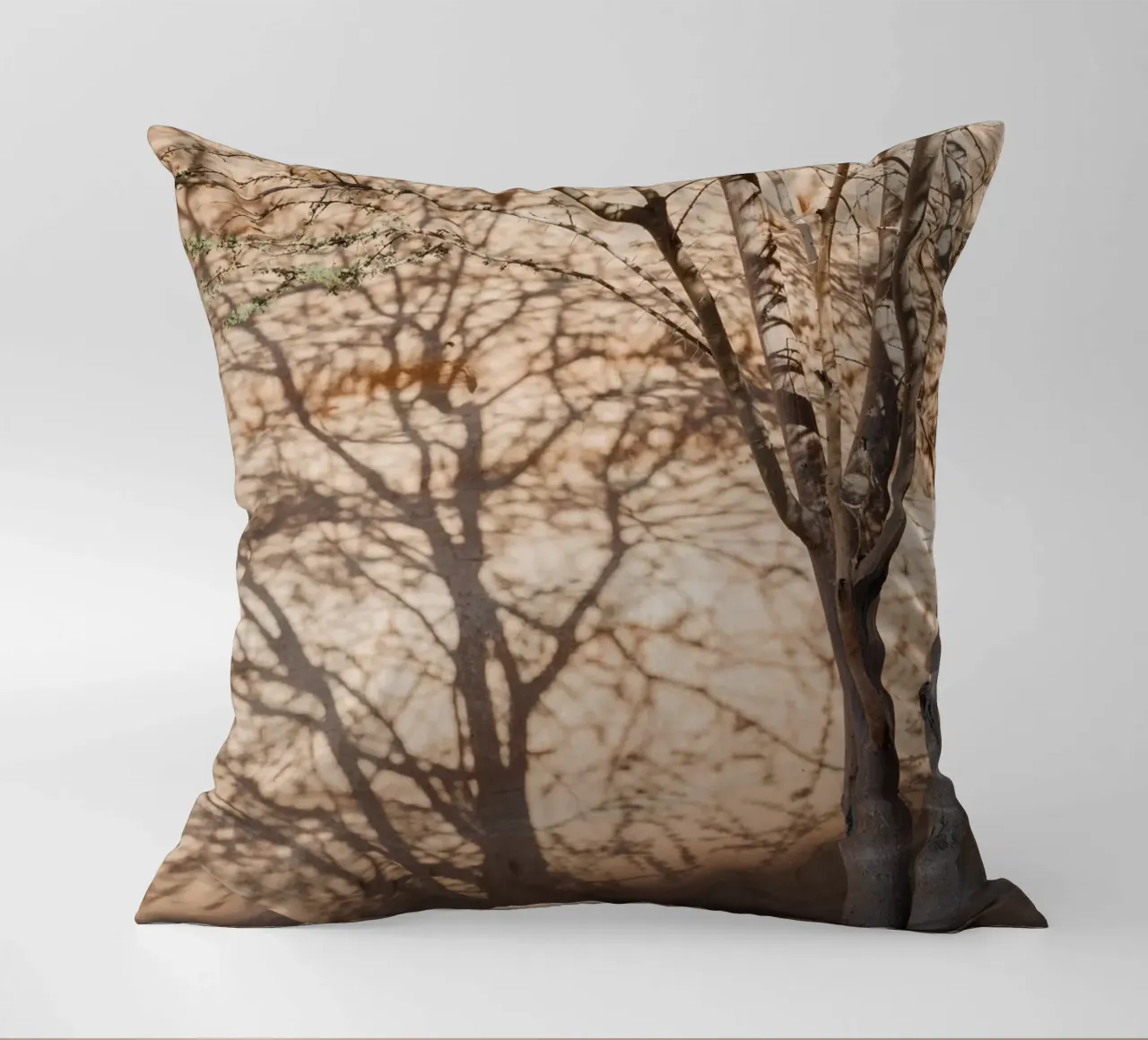 A rock, a tree and shadow cuscino da photolovers