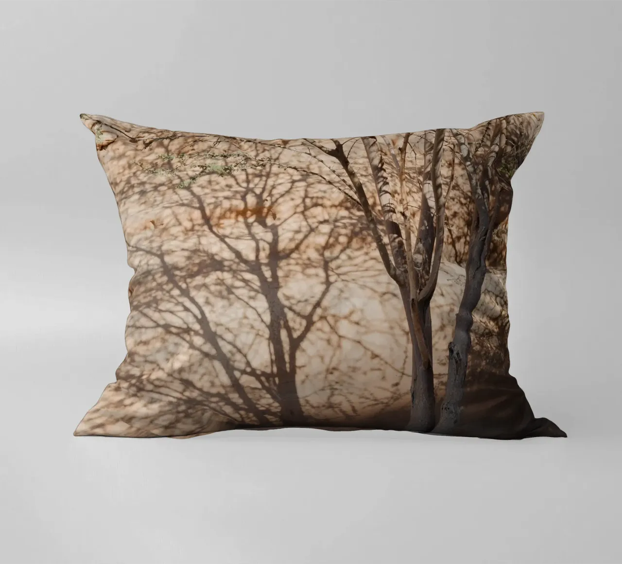 A rock, a tree and shadow cuscino da photolovers