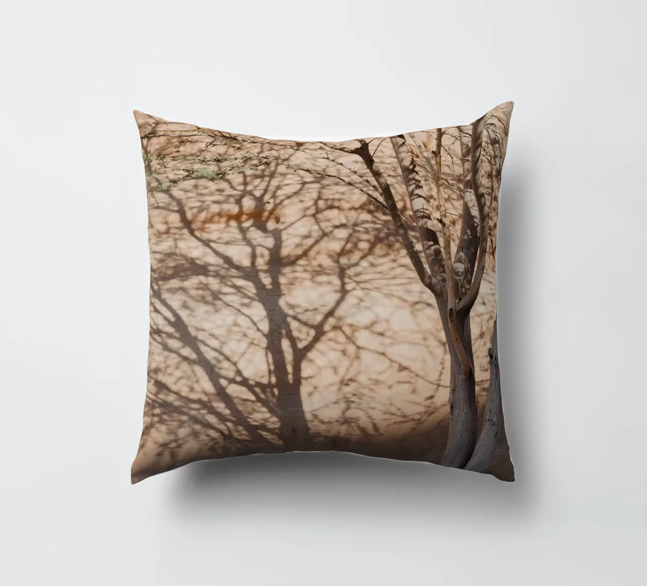 A rock, a tree and shadow cuscino da photolovers