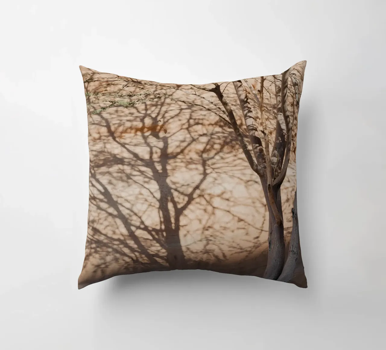 A rock, a tree and shadow cuscino da photolovers