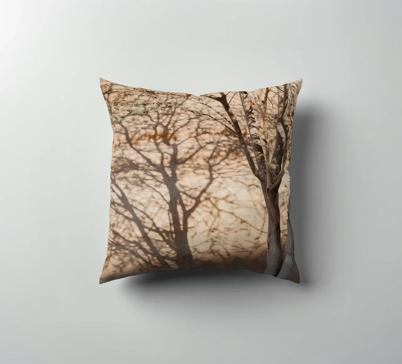 A rock, a tree and shadow cuscino da photolovers