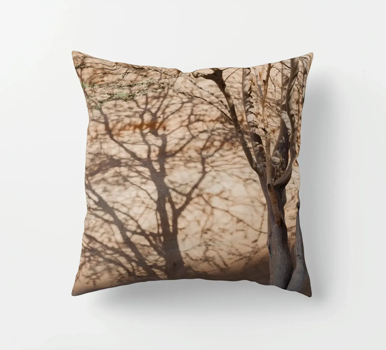 A rock, a tree and shadow cuscino da photolovers