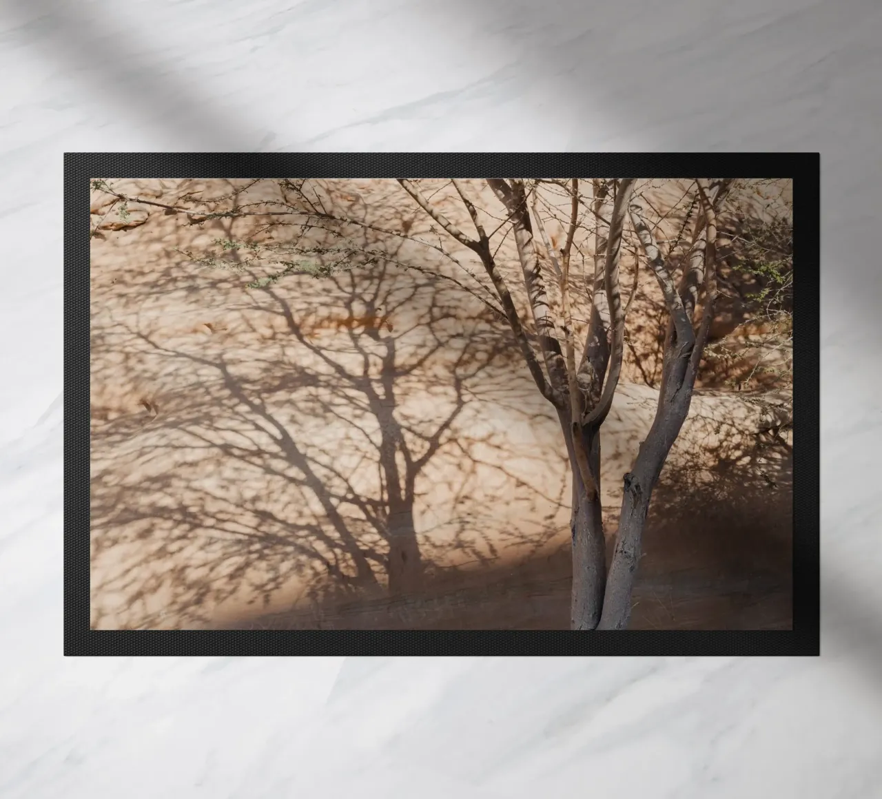 A rock, a tree and shadow zerbino da photolovers
