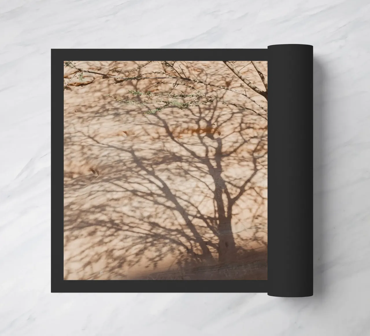 A rock, a tree and shadow zerbino da photolovers