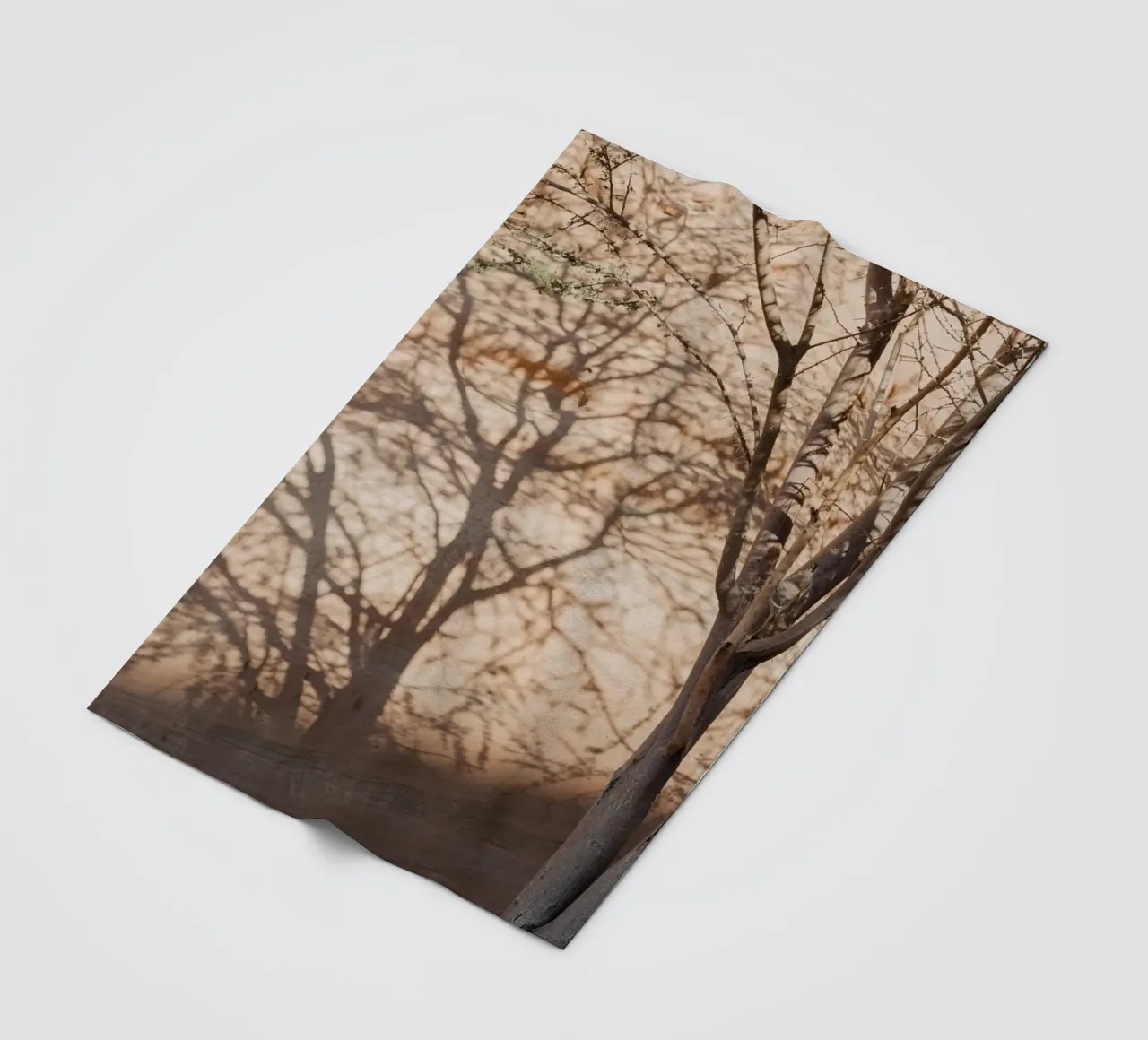 A rock, a tree and shadow coperta in pile da photolovers